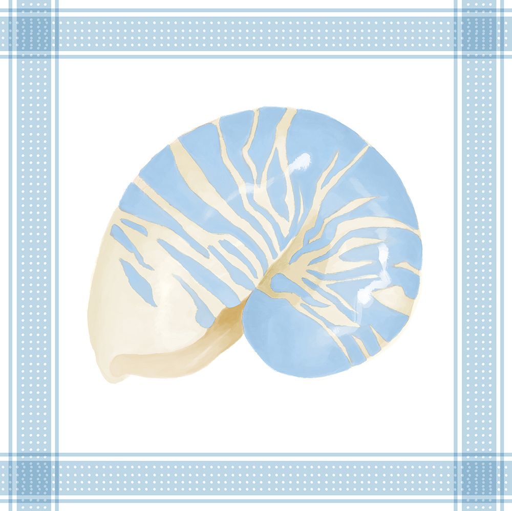 Framed Shell art print by Lucca Sheppard for $57.95 CAD