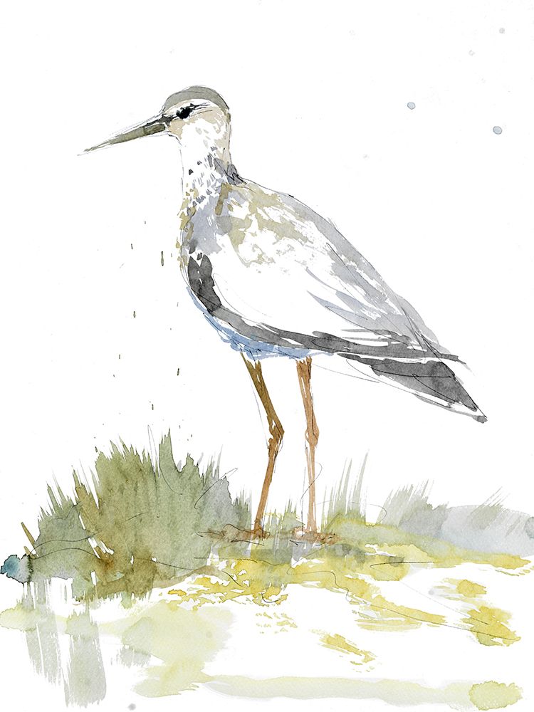 Sandpiper art print by Lorenzo Collective for $57.95 CAD