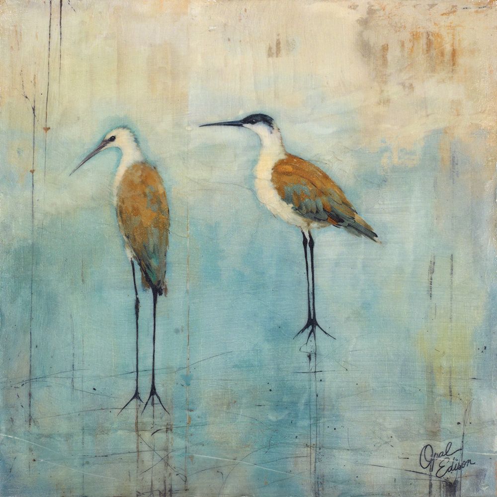 Seabirds art print by Opal Edison for $57.95 CAD