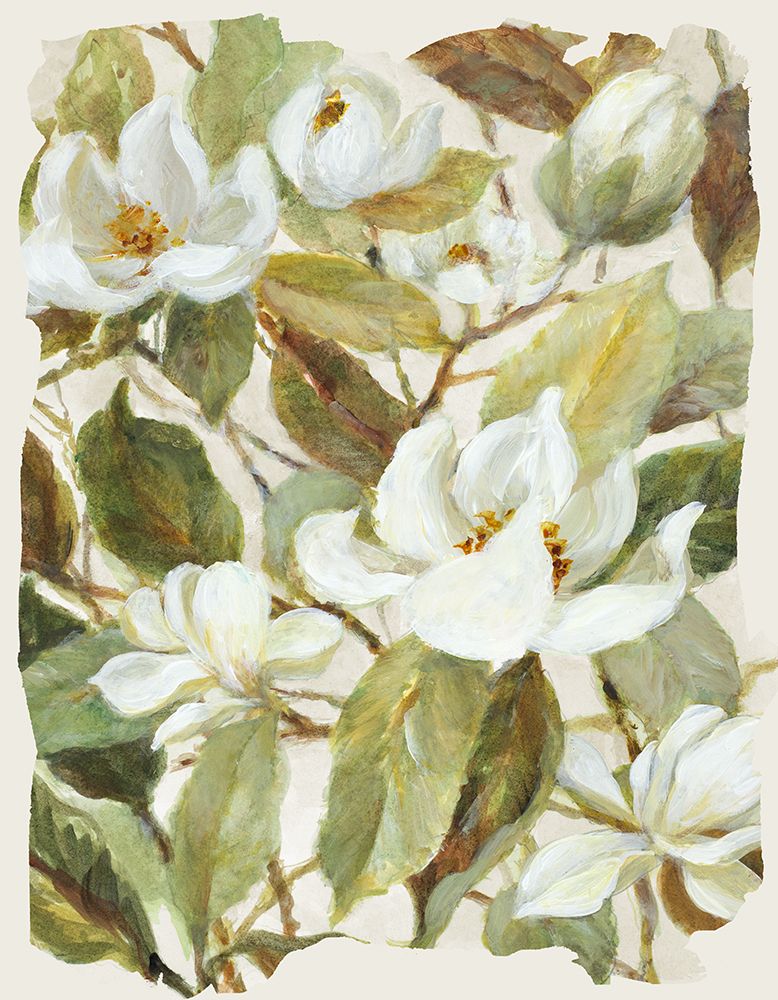 Magnolia Dreams art print by Lanie Loreth for $57.95 CAD