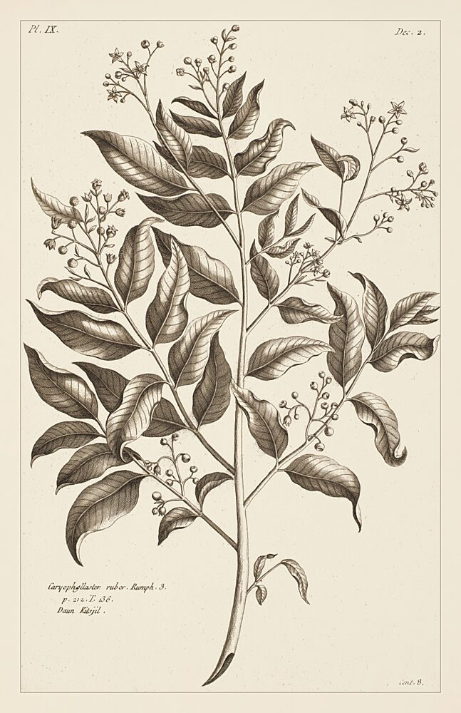Nostalgic Botanical Leaves I art print by V. Larkspar for $57.95 CAD