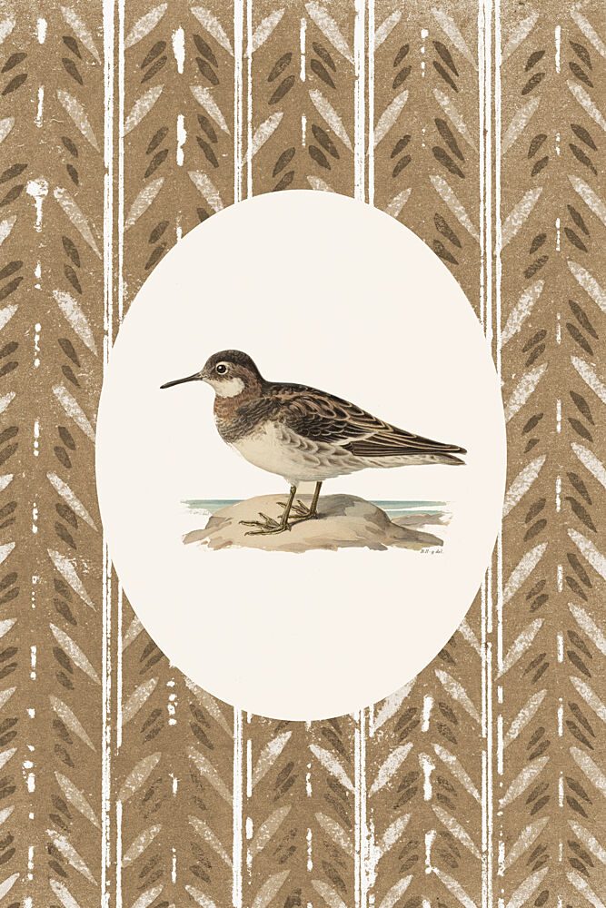 The Sandpiper art print by V. Larkspar for $57.95 CAD