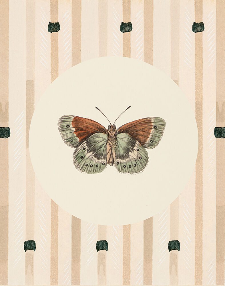 Mariposa Study II art print by V. Larkspar for $57.95 CAD