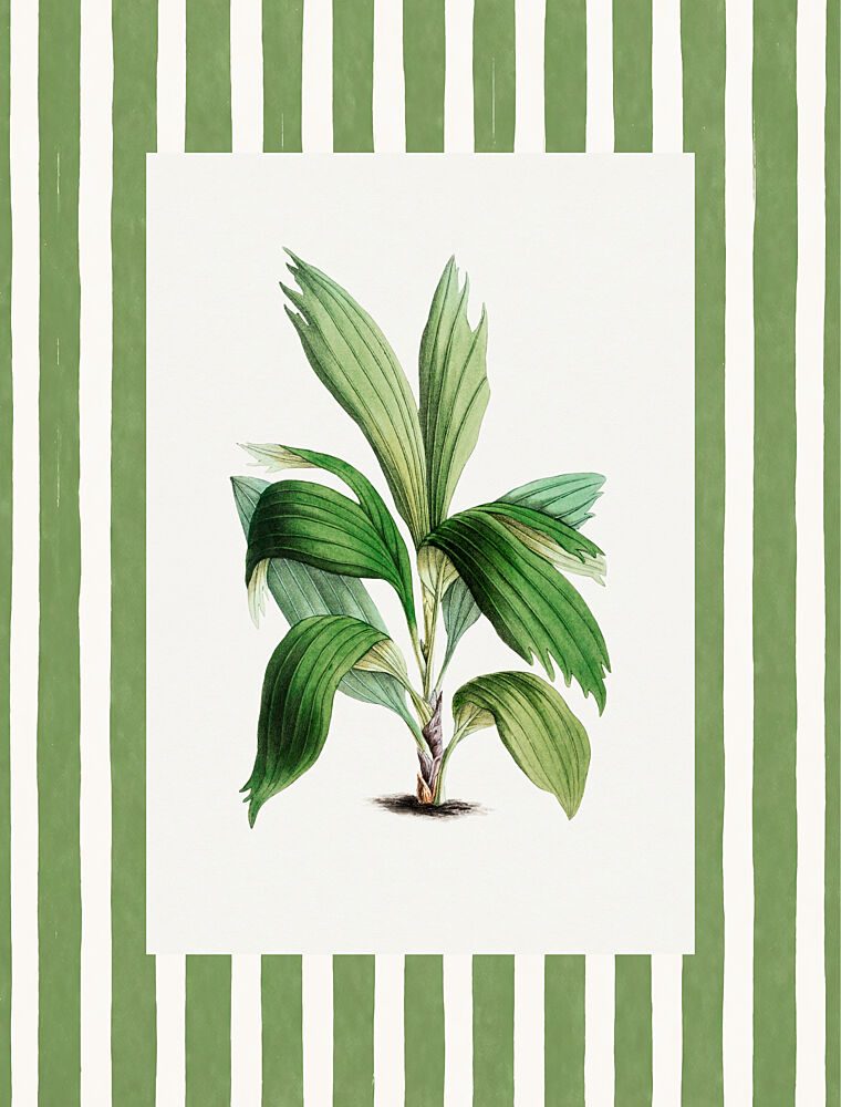 Vintage Palm Leaf I art print by V. Larkspar for $57.95 CAD