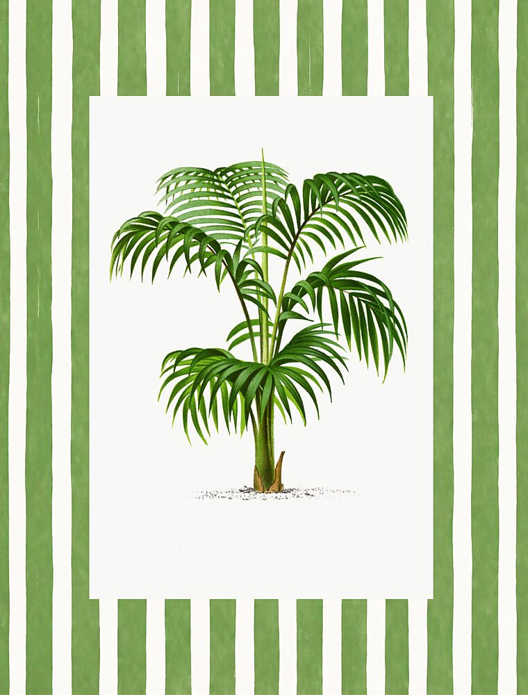 Vintage Palm Leaf II art print by V. Larkspar for $57.95 CAD