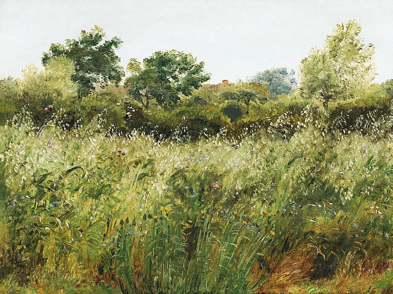 Delicate Field of Wildflowers art print by V. Larkspar for $57.95 CAD