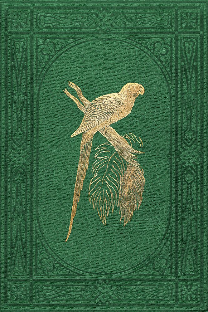 Vintage Parakeet art print by V. Larkspar for $57.95 CAD