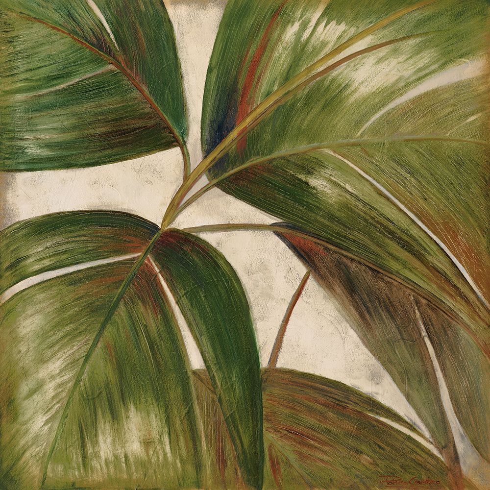 La Palmera III art print by Patricia Pinto for $57.95 CAD