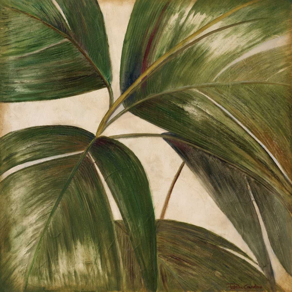 La Palmera III art print by Patricia Pinto for $57.95 CAD