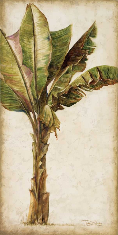 Tropic Banana I art print by Patricia Pinto for $57.95 CAD