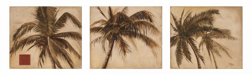 Sepia - Tres art print by Patricia Pinto for $57.95 CAD