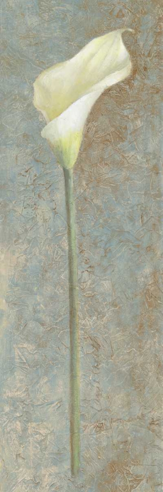 Calla Lily I art print by Lanie Loreth for $57.95 CAD