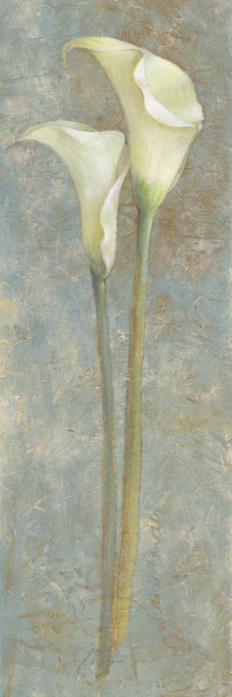 Calla Lily II art print by Lanie Loreth for $57.95 CAD