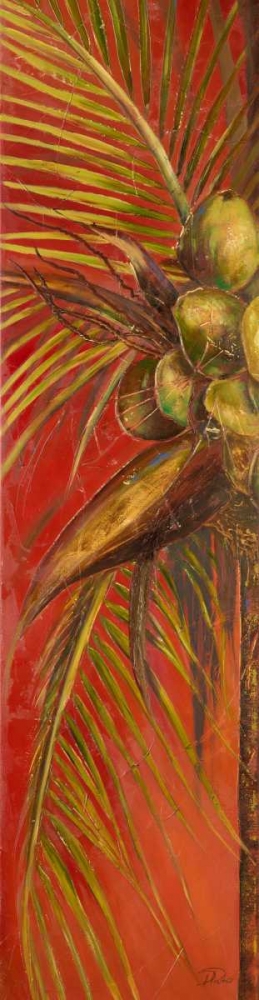 Mis Cocos I art print by Patricia Pinto for $57.95 CAD