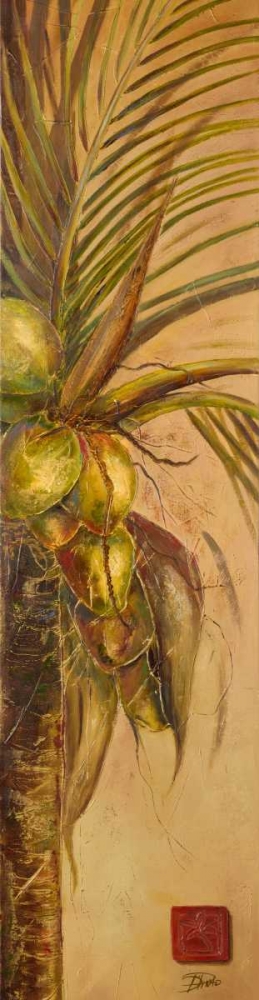 Mis Cocos II art print by Patricia Pinto for $57.95 CAD