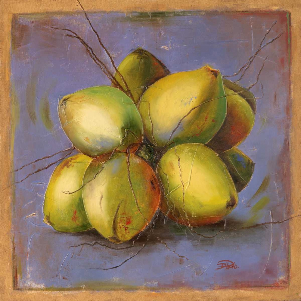 Cocos Locos IV art print by Patricia Pinto for $57.95 CAD