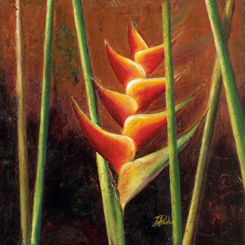 Heliconias En Naranja II art print by Patricia Pinto for $57.95 CAD
