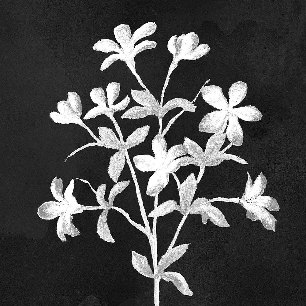 Stillness on Black Square II art print by Michael Marcon for $57.95 CAD