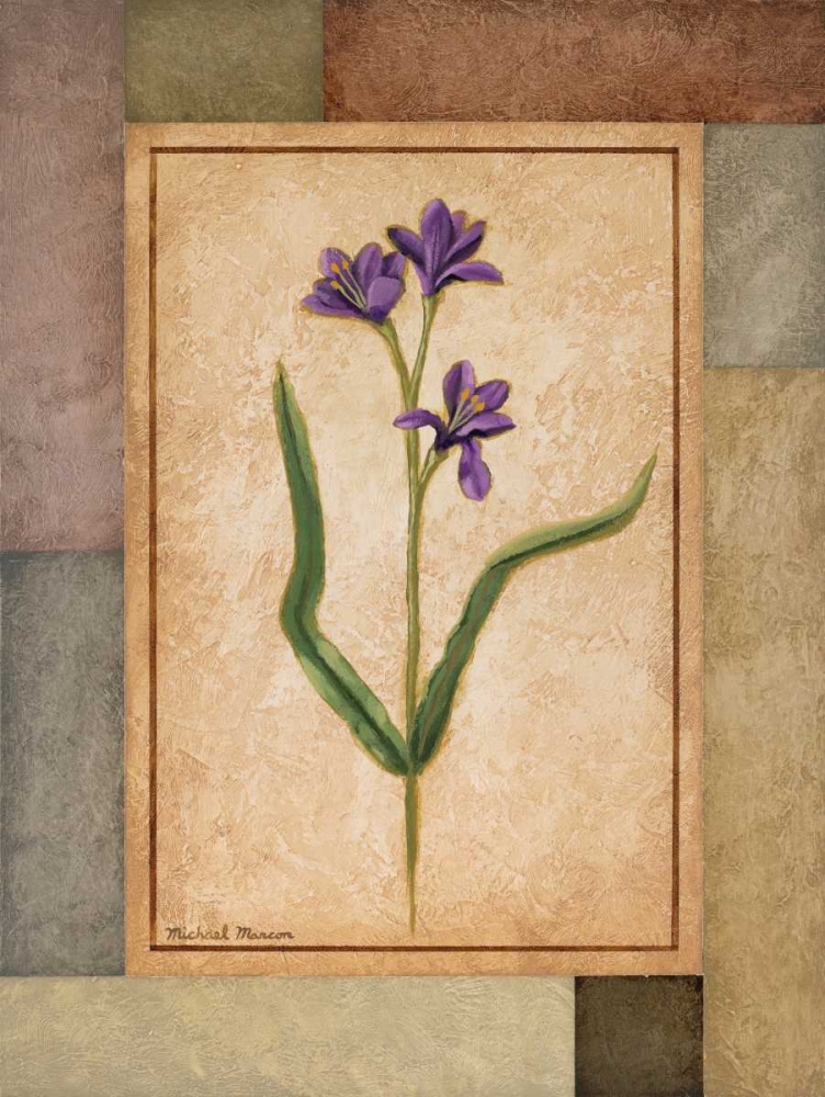 Changing Colors II art print by Michael Marcon for $57.95 CAD