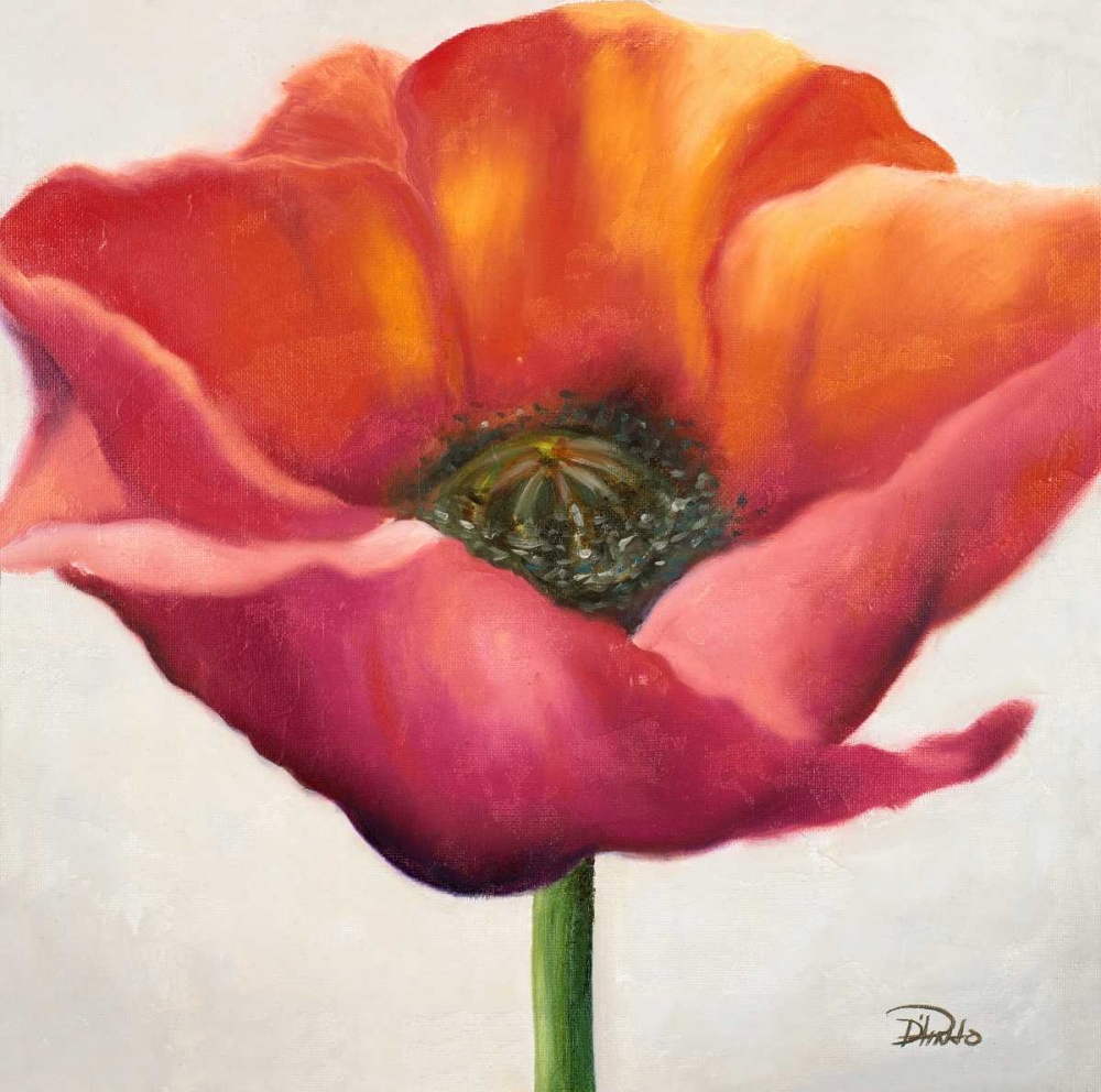 Poppy Flower I art print by Patricia Pinto for $57.95 CAD