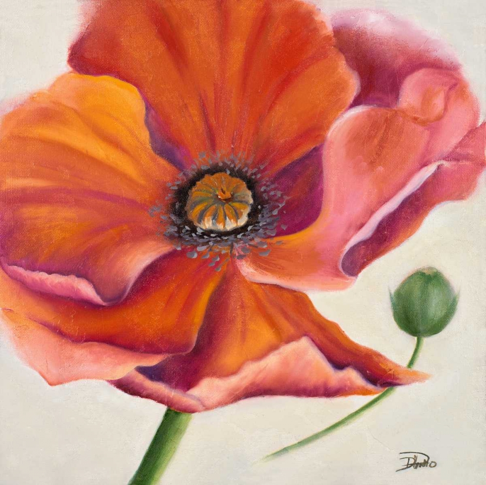Poppy Flower II art print by Patricia Pinto for $57.95 CAD