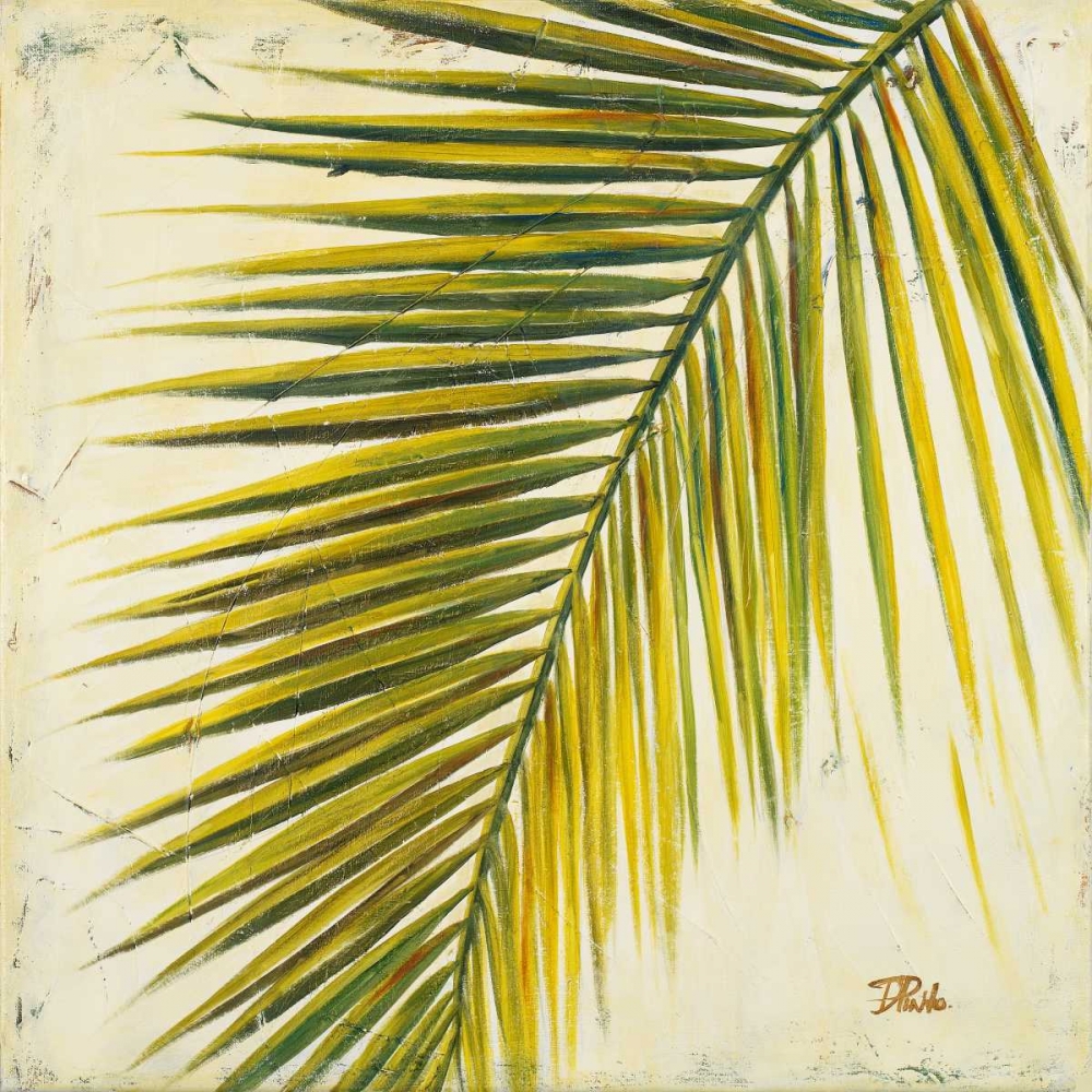 Baru Palm I art print by Patricia Pinto for $57.95 CAD