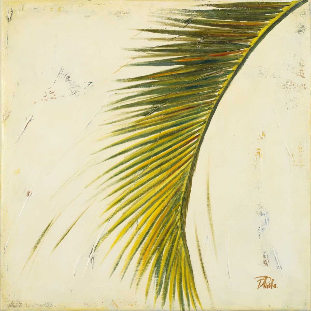 Bar├â┬║ Palm II art print by Patricia Pinto for $57.95 CAD