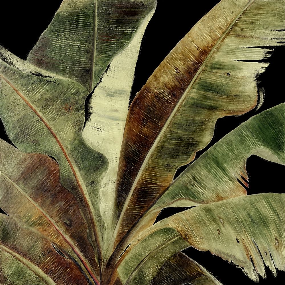 Uraba Palm on Black I art print by Patricia Pinto for $57.95 CAD