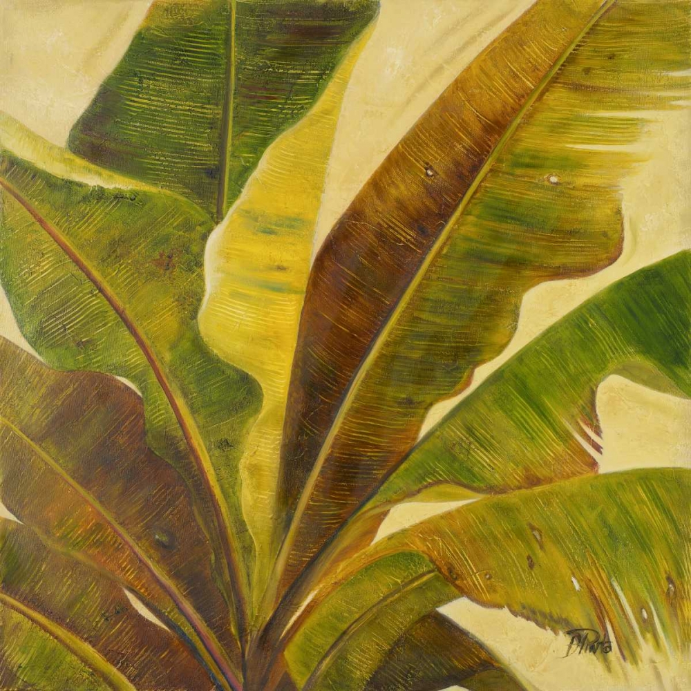 Uraba I art print by Patricia Pinto for $57.95 CAD