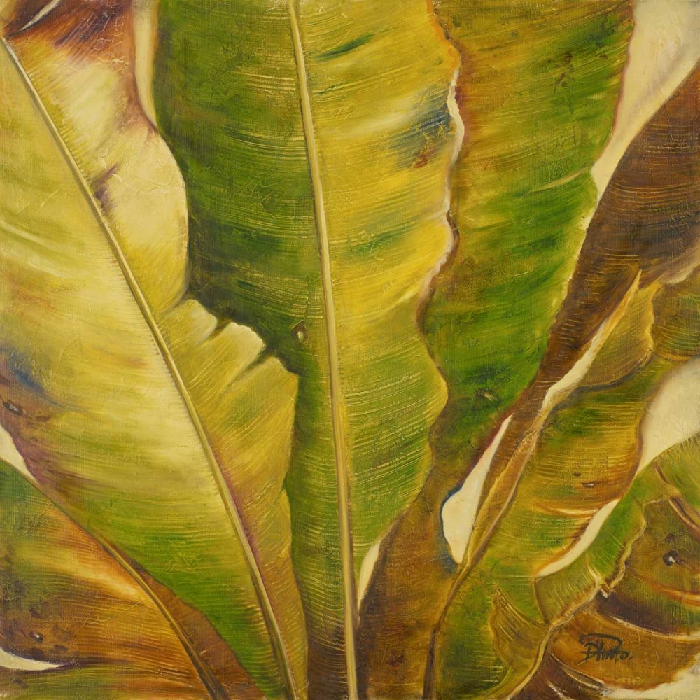 Uraba II art print by Patricia Pinto for $57.95 CAD