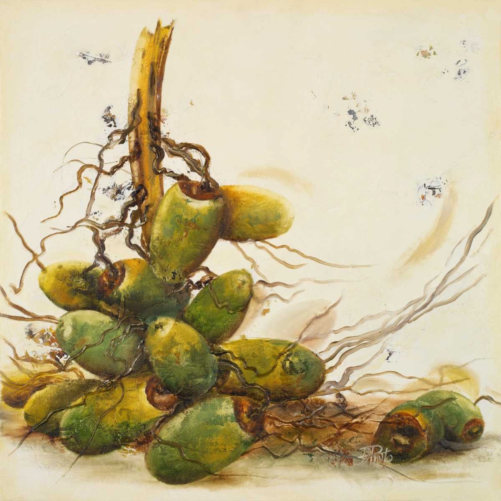 Racimo de Cocos I art print by Patricia Pinto for $57.95 CAD