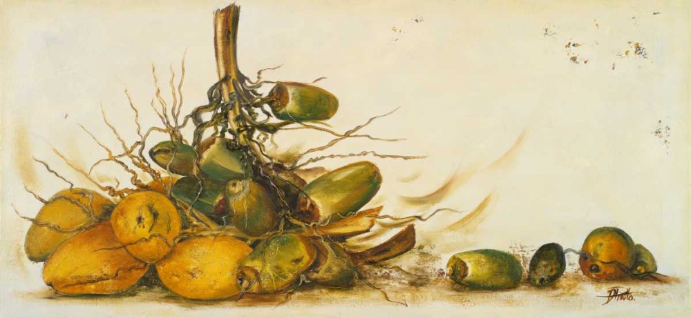 Racimo de Cocos III art print by Patricia Pinto for $57.95 CAD
