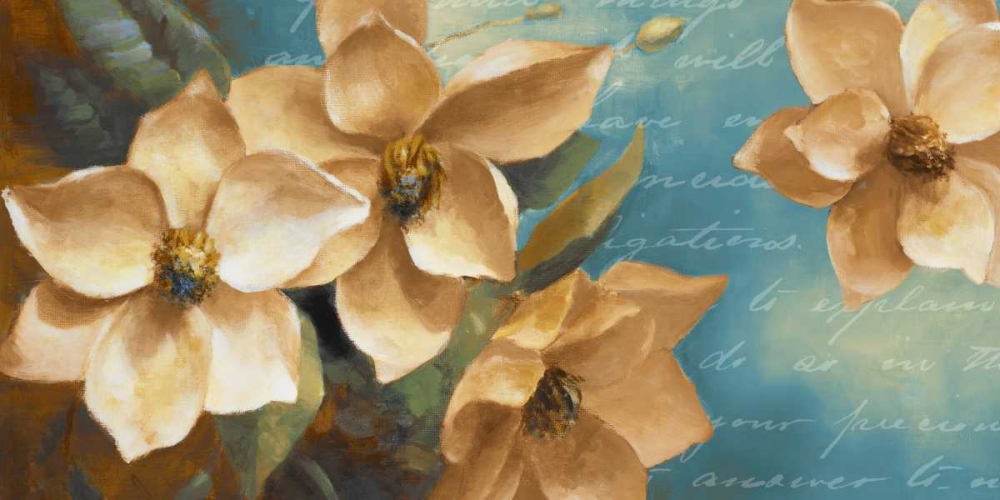 Magnolia Aglow II art print by Lanie Loreth for $57.95 CAD