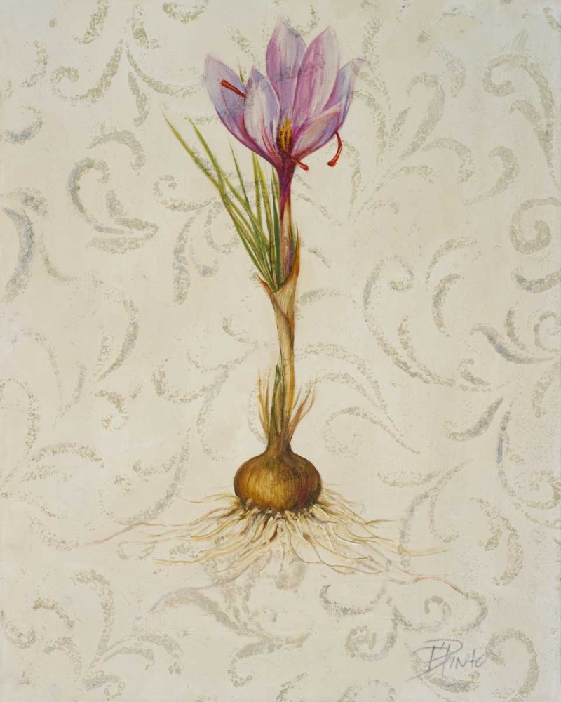 Botanica III art print by Patricia Pinto for $57.95 CAD