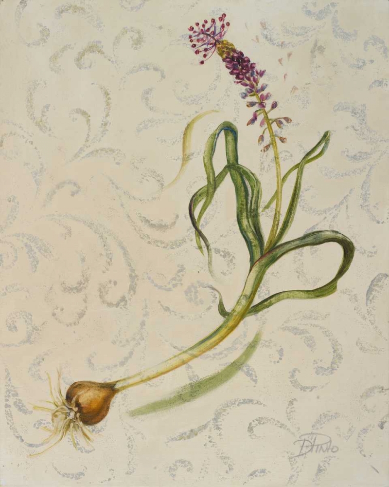 Botanica IV art print by Patricia Pinto for $57.95 CAD