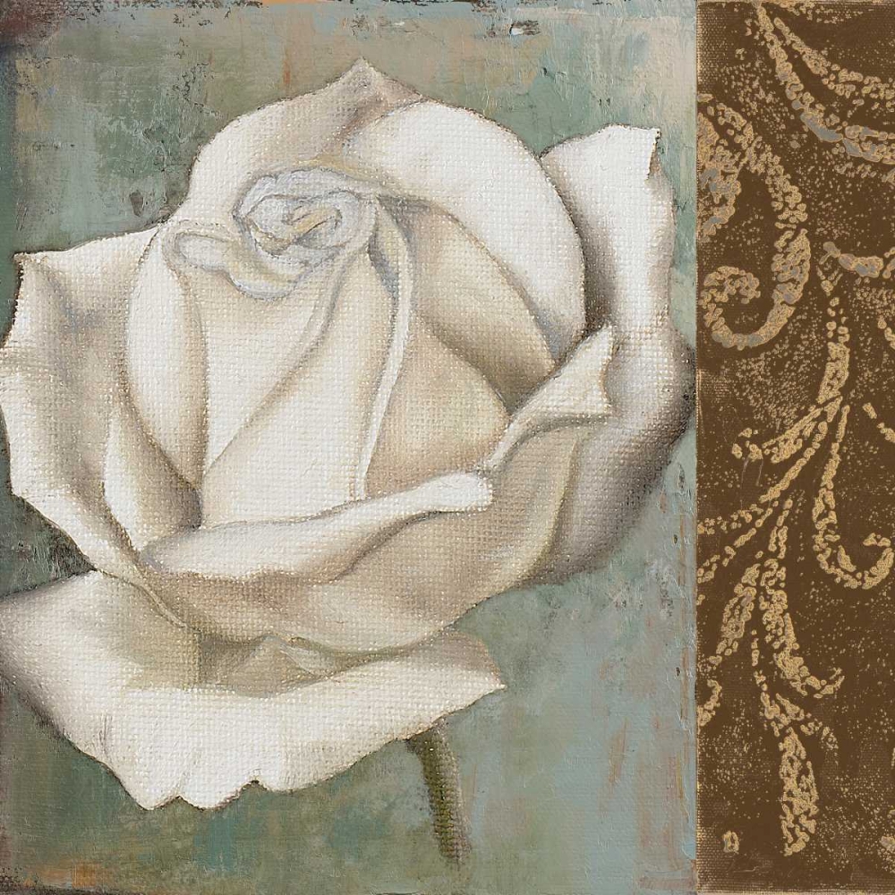 Rose II art print by Patricia Pinto for $57.95 CAD