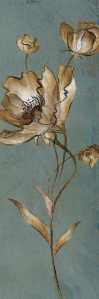 Translucent Poppies art print by Lanie Loreth for $57.95 CAD