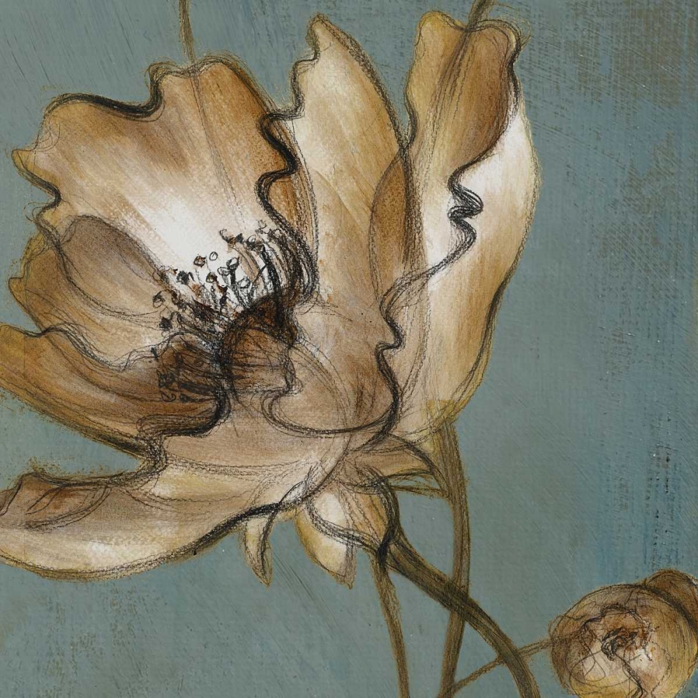 Translucent Poppies art print by Lanie Loreth for $57.95 CAD