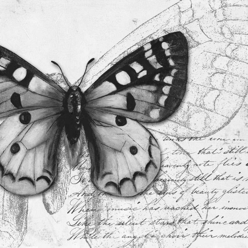 Butterfly Studies I art print by Patricia Pinto for $57.95 CAD