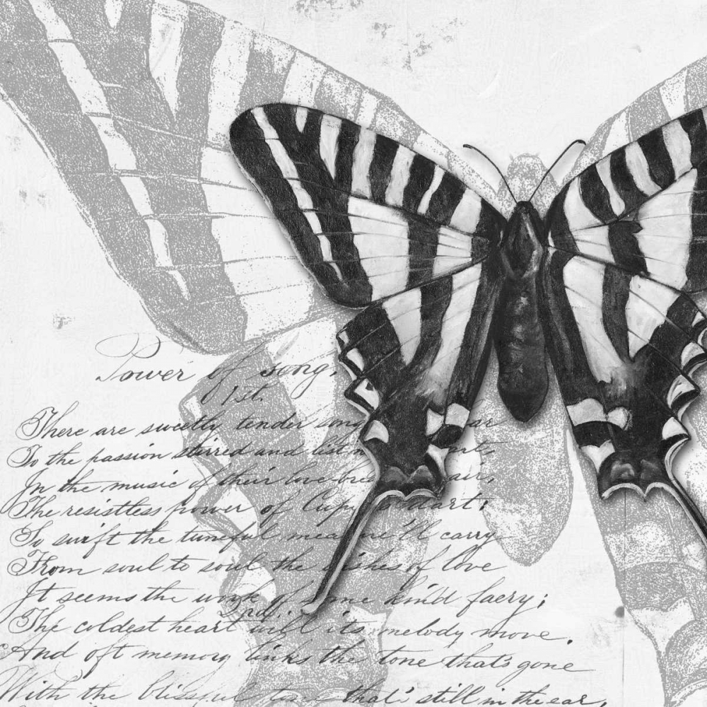 Butterflies Studies II art print by Patricia Pinto for $57.95 CAD