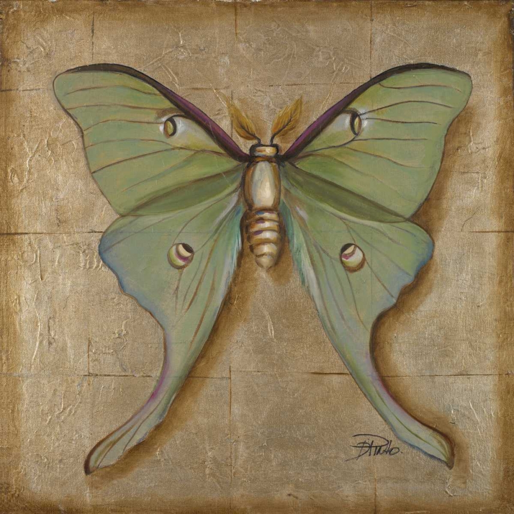 Luna Moth art print by Patricia Pinto for $57.95 CAD