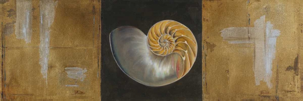 Seashells II art print by Patricia Pinto for $57.95 CAD