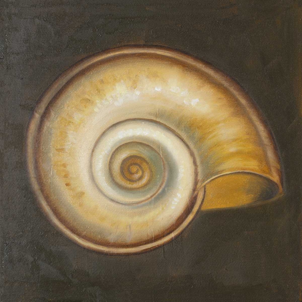 Seashell I art print by Patricia Pinto for $57.95 CAD