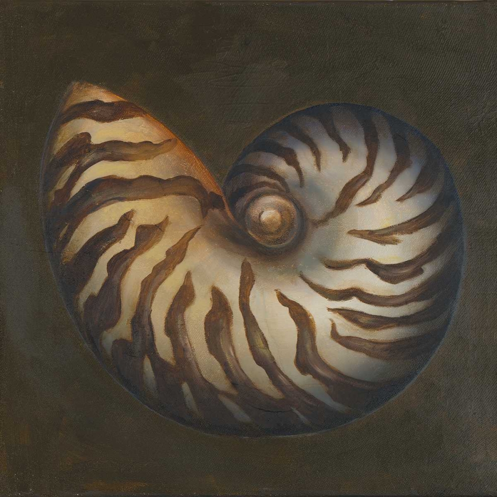 Seashell II art print by Patricia Pinto for $57.95 CAD