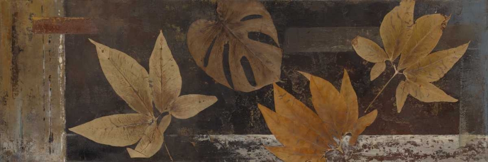 Dry Nature I art print by Patricia Pinto for $57.95 CAD