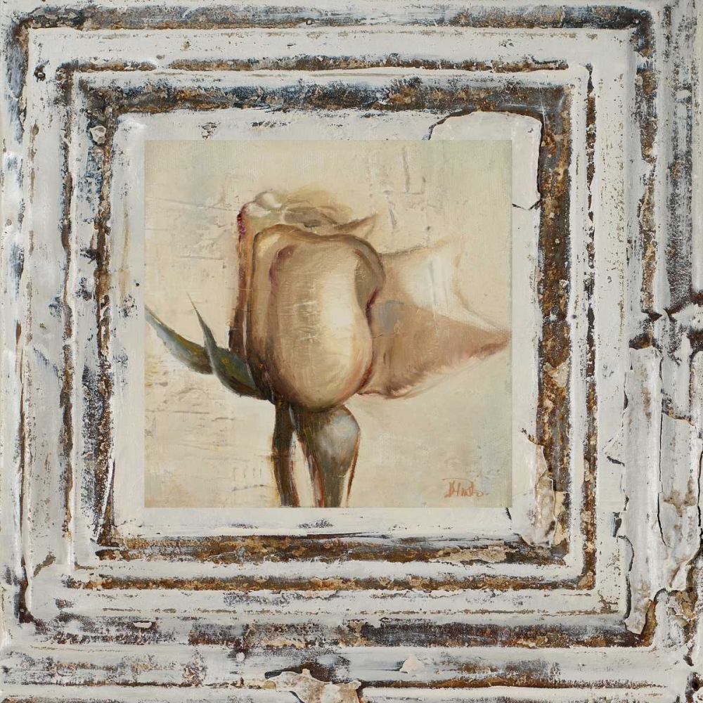 Flowers and Leaves Square I art print by Patricia Pinto for $57.95 CAD