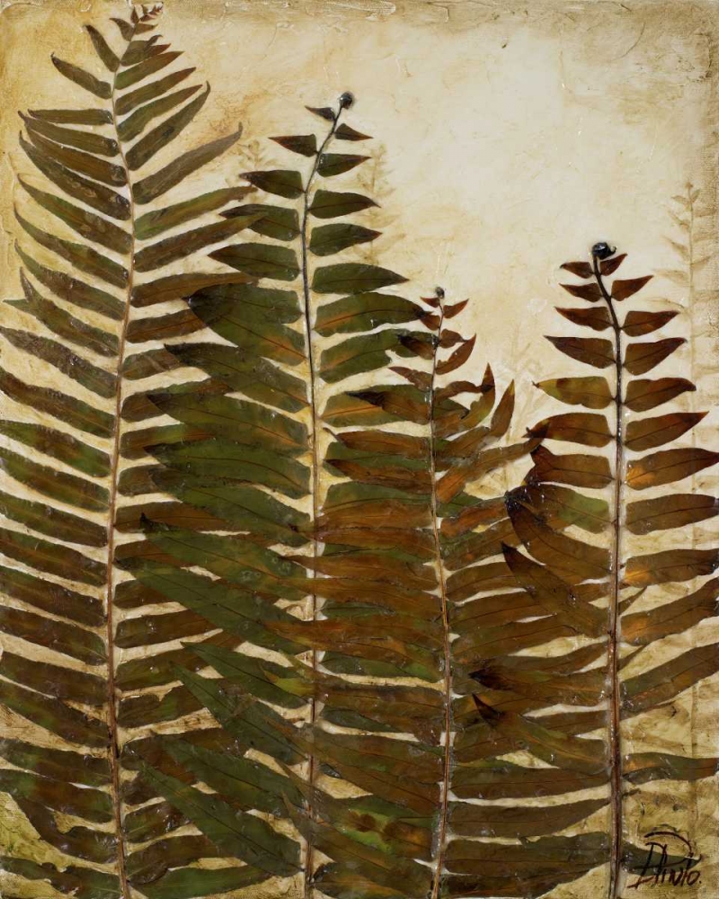 Ferns I art print by Patricia Pinto for $57.95 CAD