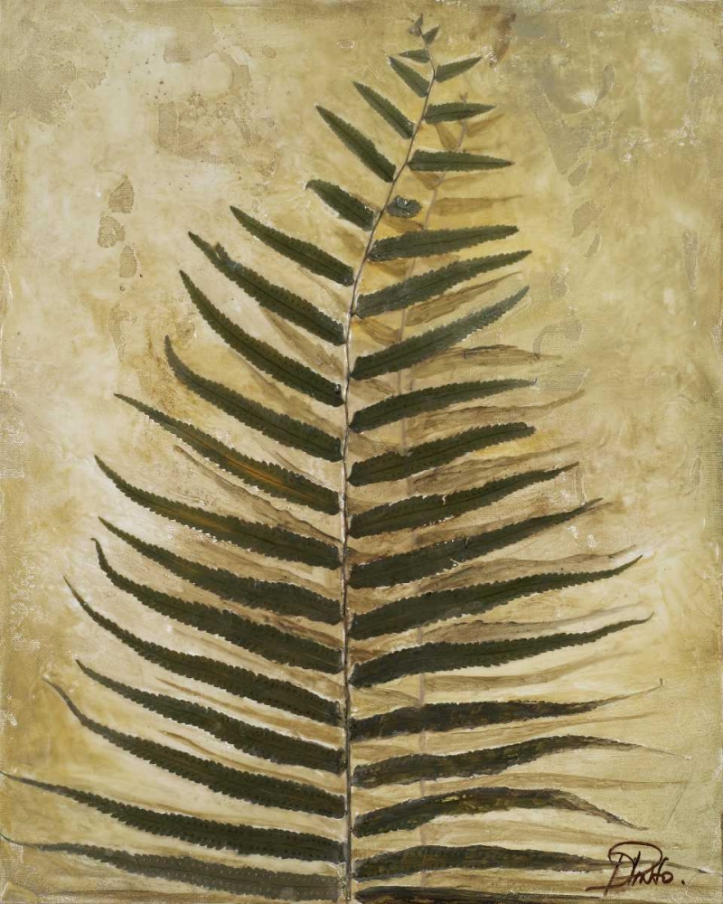 Ferns III art print by Patricia Pinto for $57.95 CAD