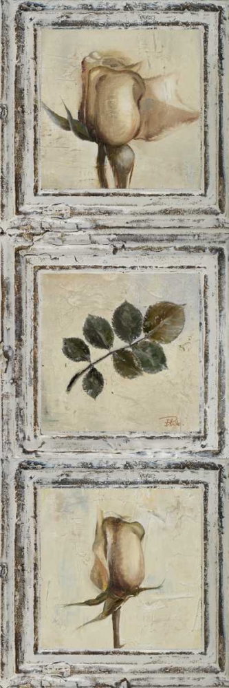 Flowers and Leaves III art print by Patricia Pinto for $57.95 CAD