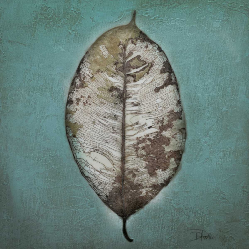 Beauty in Blue II art print by Patricia Pinto for $57.95 CAD